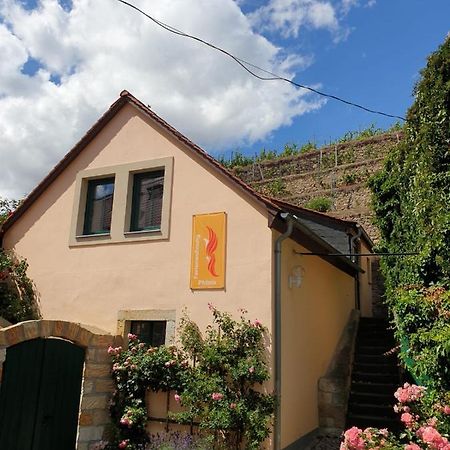 Unterkunft Am Weinberg Nunchritz Exteriér fotografie